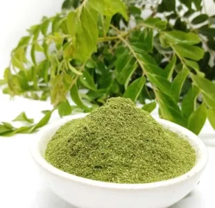 Dehydrated Curry Leaves Powder
