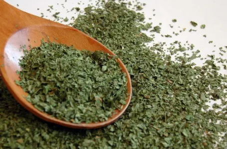 Dehydrated Coriander Leaves