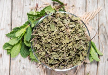 Dehydrated Mint Leaves