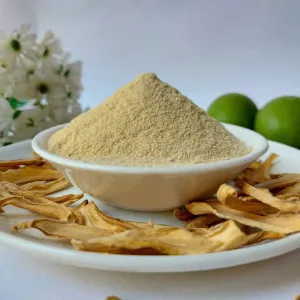 Dehydrated Mango Powder